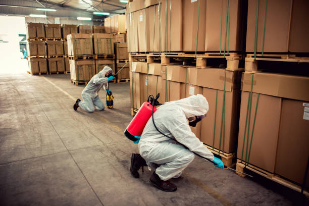 Best Emergency Pest Control  in Batavia, IL
