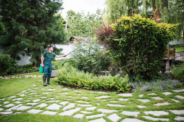 Trusted Batavia, IL Pest Control Experts