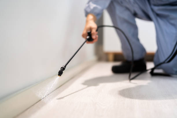 Flea Control Services in Batavia, IL