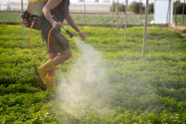 Best Pest Control for Restaurants  in Batavia, IL