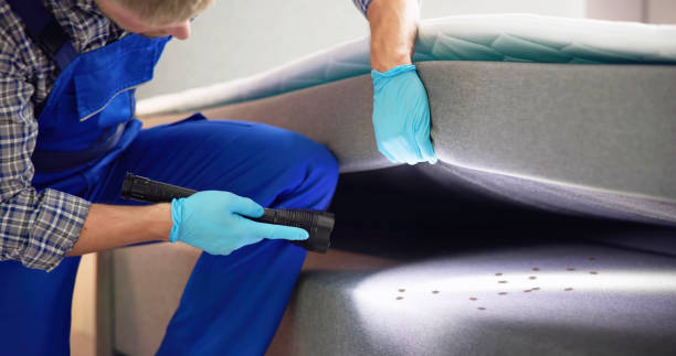 Best Wasp Removal Services  in Batavia, IL