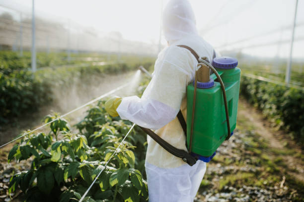 Best Exterminator Services  in Batavia, IL